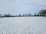 Sneeuwlaag bedekt sportpark 'Het Springer' (26/37)